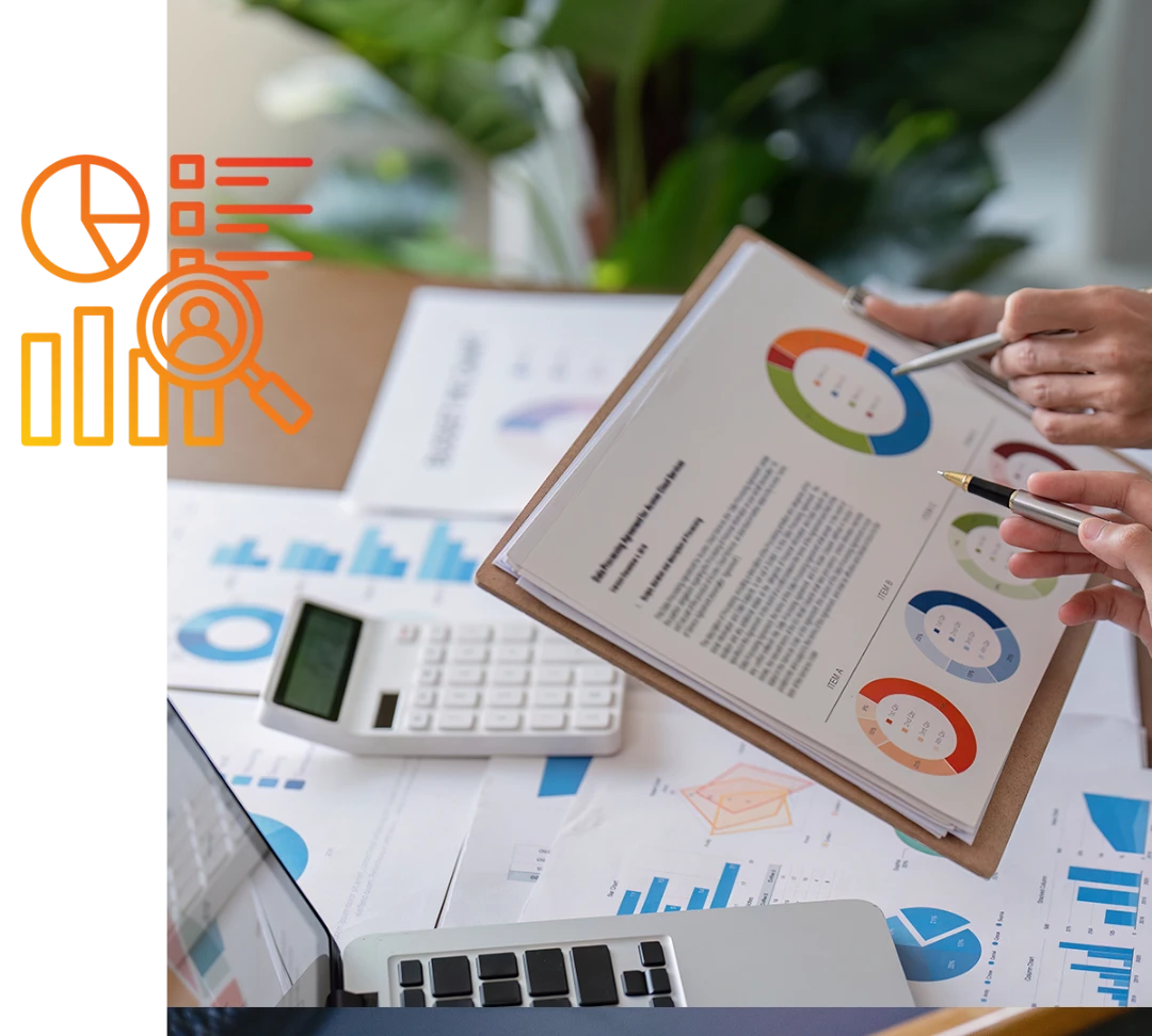 Services, web design agency, Rynox Digital