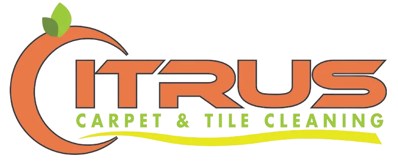 Cleaning, web design agency, Rynox Digital