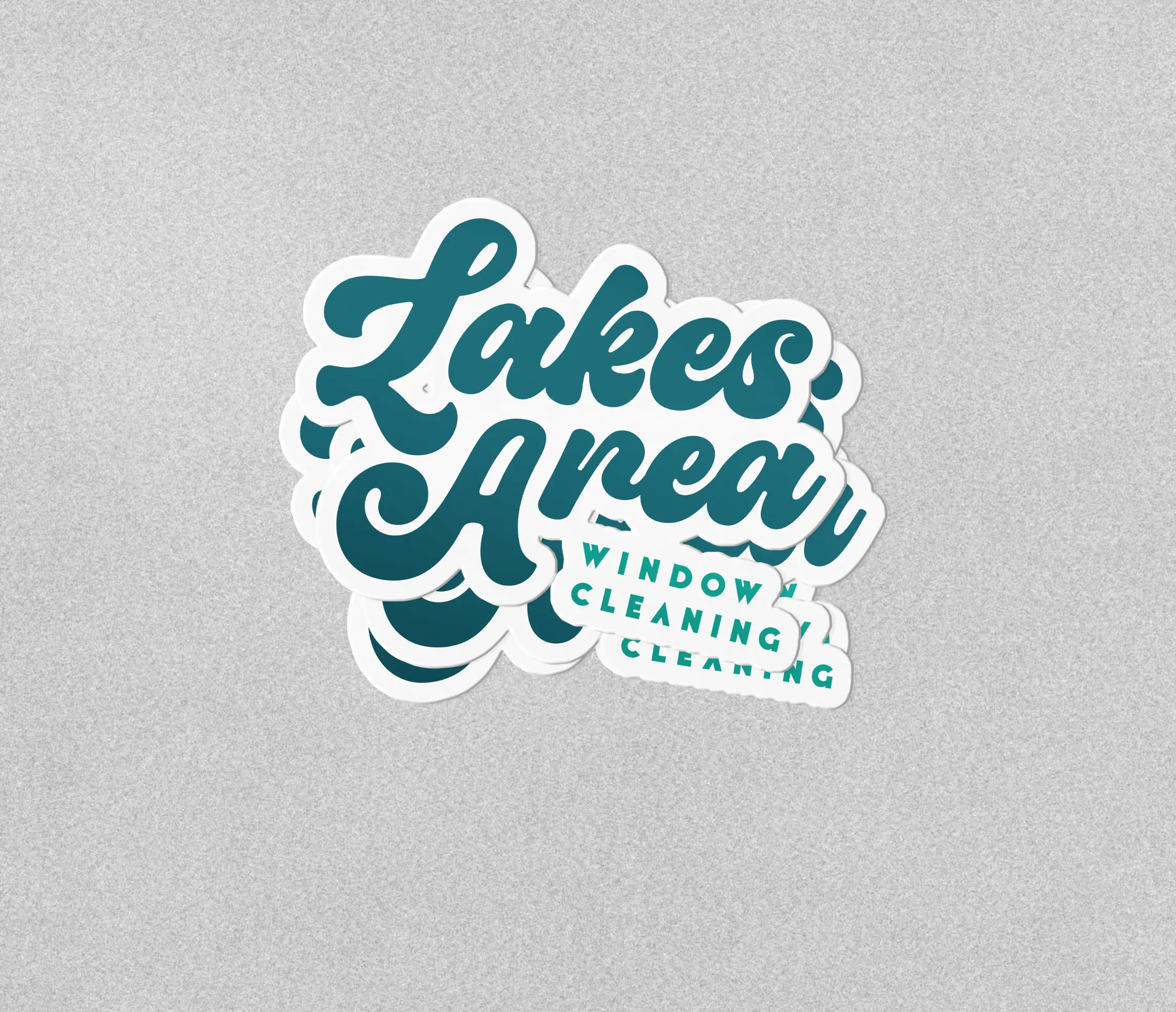 Lakes Area Window Cleaning, rynox digital, case study